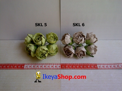 SKL 5 6  large2
